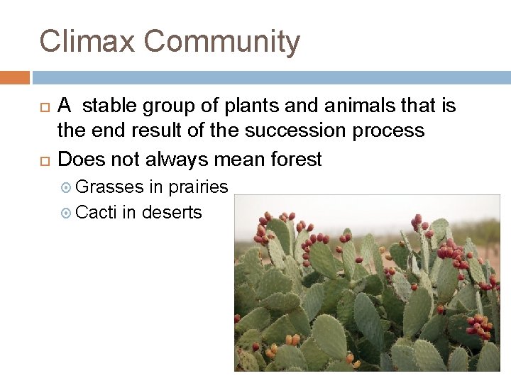 Climax Community A stable group of plants and animals that is the end result