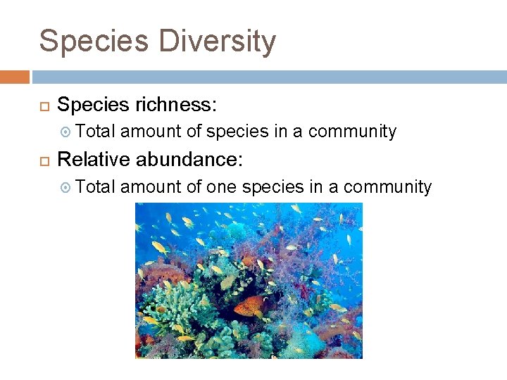 Species Diversity Species richness: Total amount of species in a community Relative abundance: Total