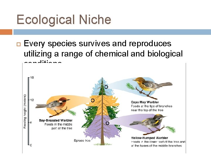 Ecological Niche Every species survives and reproduces utilizing a range of chemical and biological