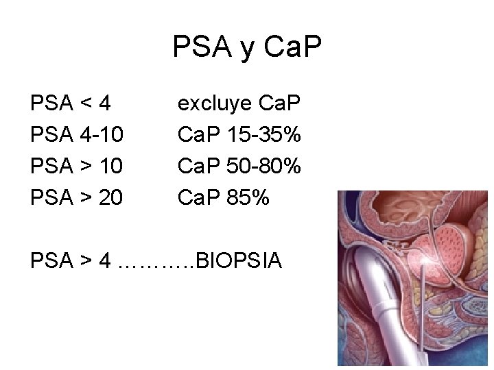PSA y Ca. P PSA < 4 PSA 4 -10 PSA > 20 excluye