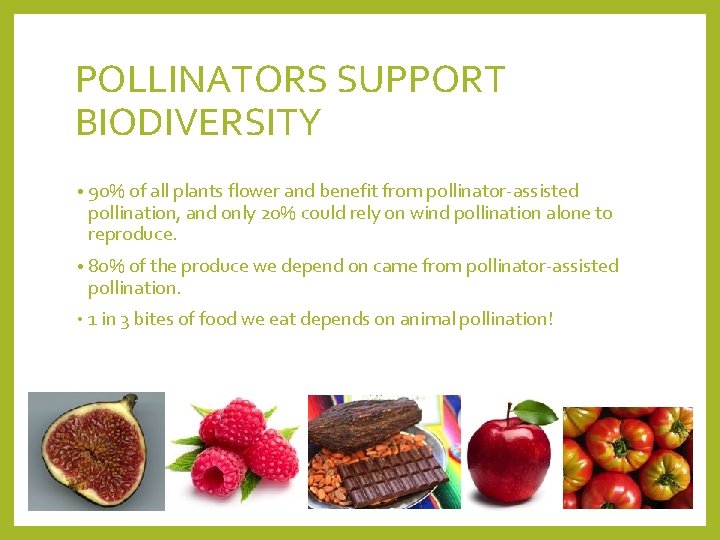 POLLINATORS SUPPORT BIODIVERSITY • 90% of all plants flower and benefit from pollinator-assisted pollination,