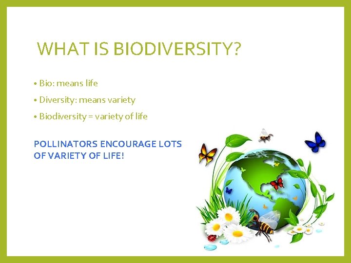 WHAT IS BIODIVERSITY? • Bio: means life • Diversity: means variety • Biodiversity =