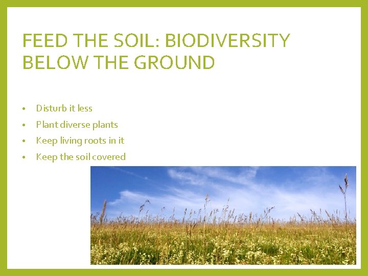 FEED THE SOIL: BIODIVERSITY BELOW THE GROUND • Disturb it less • Plant diverse