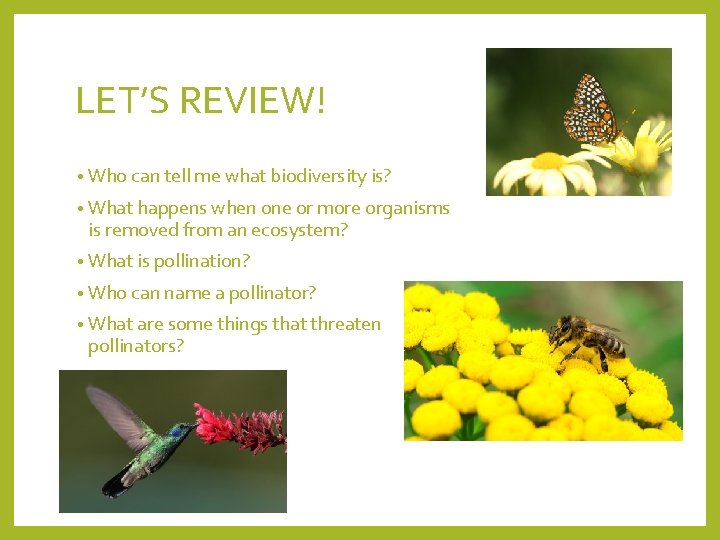 LET’S REVIEW! • Who can tell me what biodiversity is? • What happens when