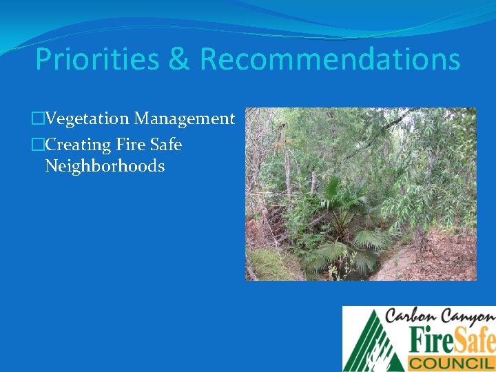 Priorities & Recommendations �Vegetation Management �Creating Fire Safe Neighborhoods 