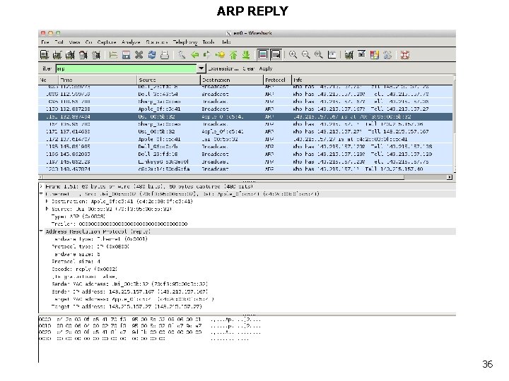 ARP REPLY 36 