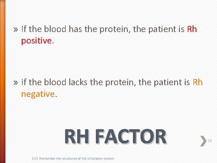 » If the blood has the protein, the patient is Rh positive. » If