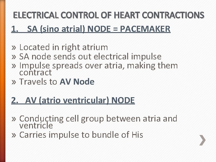 ELECTRICAL CONTROL OF HEART CONTRACTIONS 1. SA (sino atrial) NODE = PACEMAKER » Located