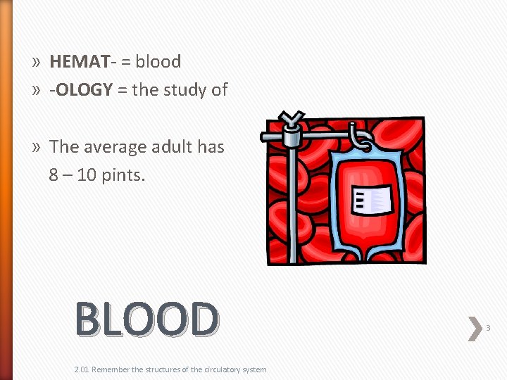 » HEMAT- = blood » -OLOGY = the study of » The average adult