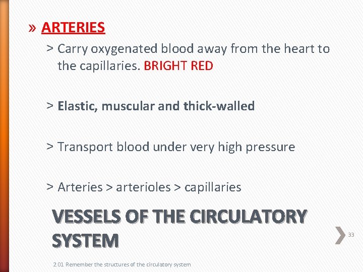 » ARTERIES ˃ Carry oxygenated blood away from the heart to the capillaries. BRIGHT