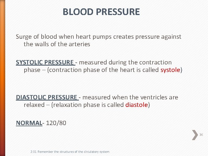 BLOOD PRESSURE Surge of blood when heart pumps creates pressure against the walls of