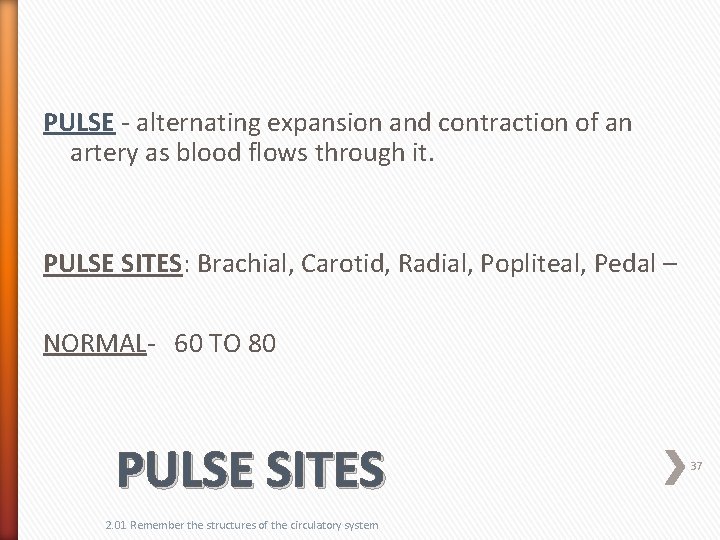 PULSE - alternating expansion and contraction of an artery as blood flows through it.