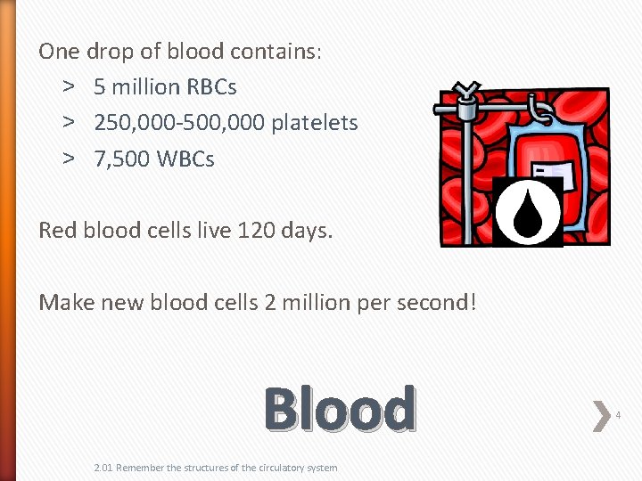 One drop of blood contains: ˃ 5 million RBCs ˃ 250, 000 -500, 000