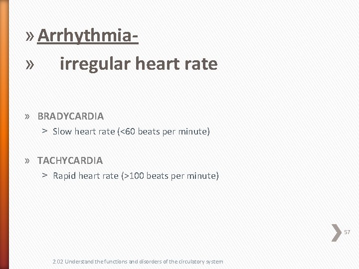 » Arrhythmia» irregular heart rate » BRADYCARDIA ˃ Slow heart rate (<60 beats per