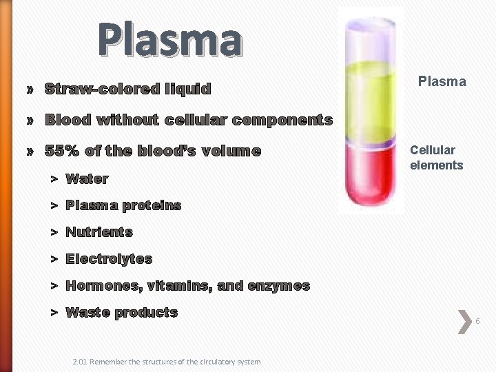 Plasma » Straw-colored liquid Plasma » Blood without cellular components » 55% of the