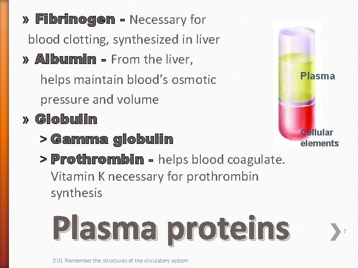 » Fibrinogen - Necessary for blood clotting, synthesized in liver » Albumin - From