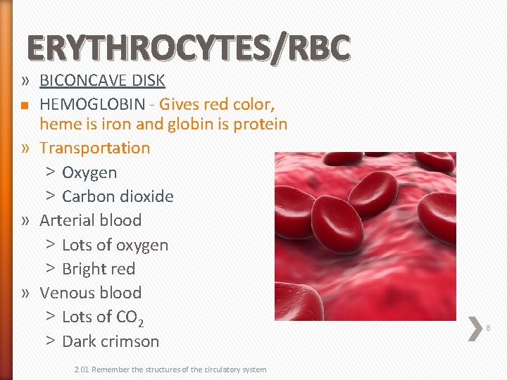 ERYTHROCYTES/RBC » BICONCAVE DISK n HEMOGLOBIN - Gives red color, heme is iron and