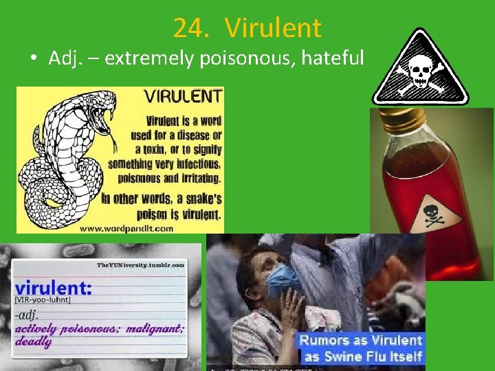 24. Virulent • Adj. – extremely poisonous, hateful 