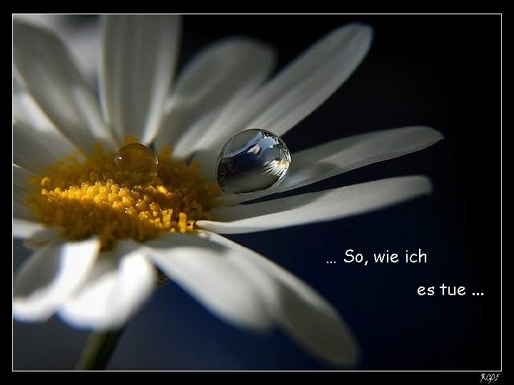 … So, wie ich es tue. . . … So, wie ich es tue. . .