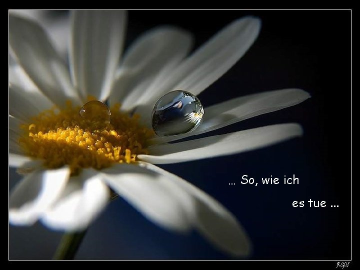 … So, wie ich es tue. . . 