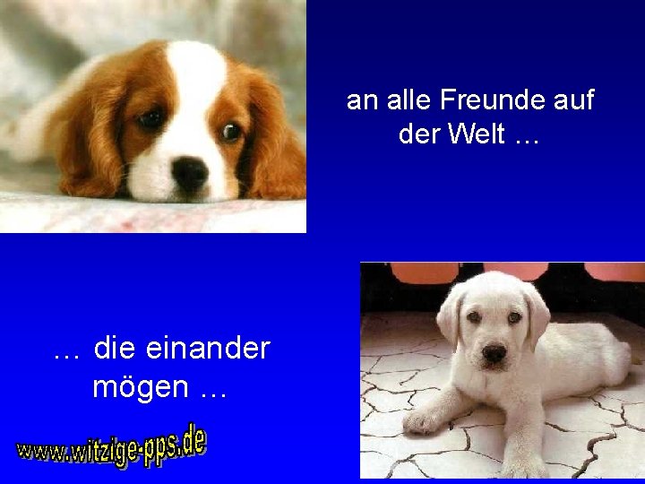 an alle Freunde auf der Welt … … die einander mögen … 