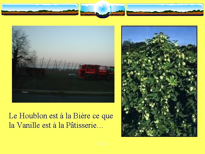 Le Houblon est à la Bière ce que la Vanille est à la Pâtisserie…