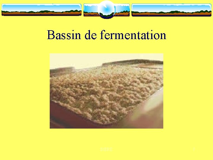 Bassin de fermentation BIERE 7 