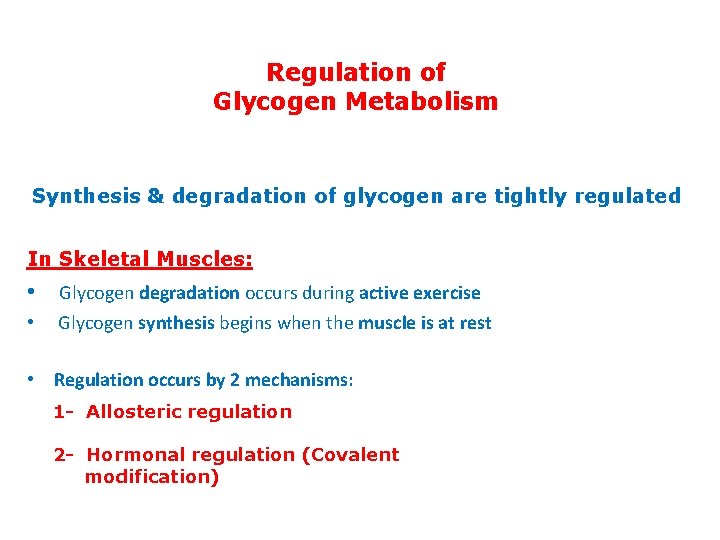 Regulation of Glycogen Metabolism Synthesis & degradation of glycogen are tightly regulated In Skeletal