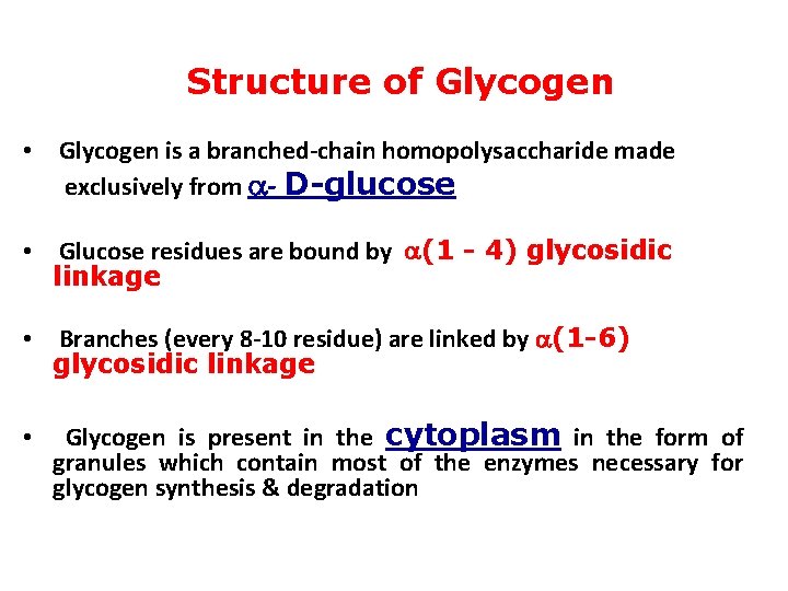 Structure of Glycogen • Glycogen is a branched-chain homopolysaccharide made exclusively from a- D-glucose