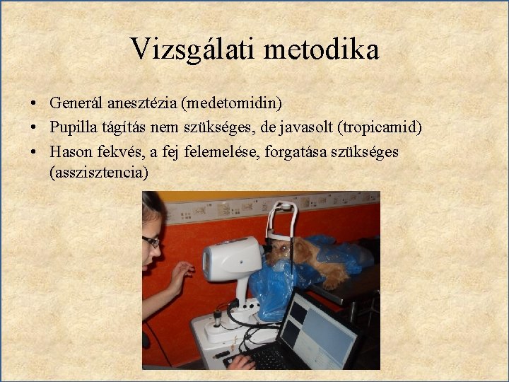 Vizsgálati metodika • Generál anesztézia (medetomidin) • Pupilla tágítás nem szükséges, de javasolt (tropicamid)