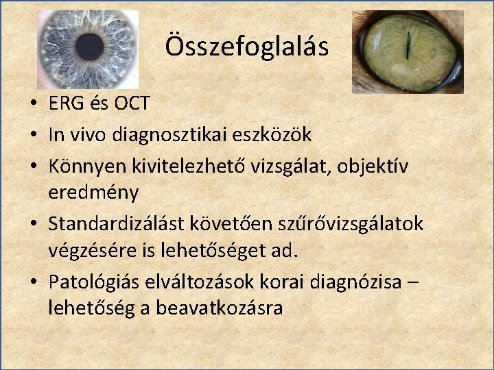 Összefoglalás • ERG és OCT • In vivo diagnosztikai eszközök • Könnyen kivitelezhető vizsgálat,