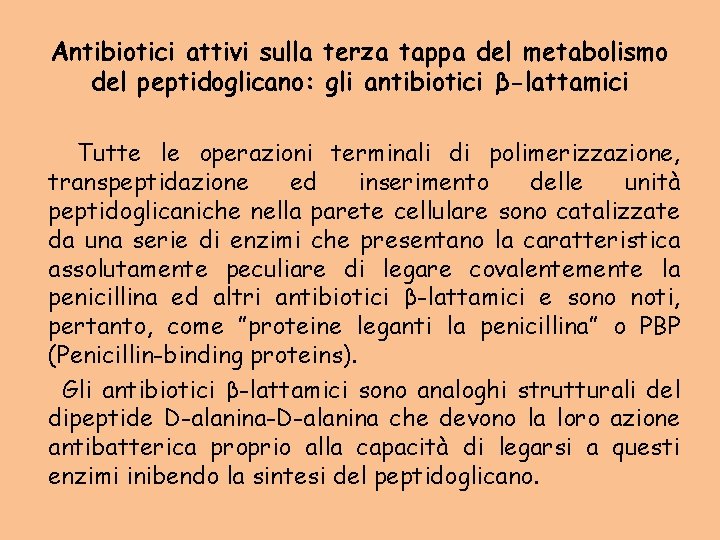 Antibiotici attivi sulla terza tappa del metabolismo del peptidoglicano: gli antibiotici β-lattamici Tutte le