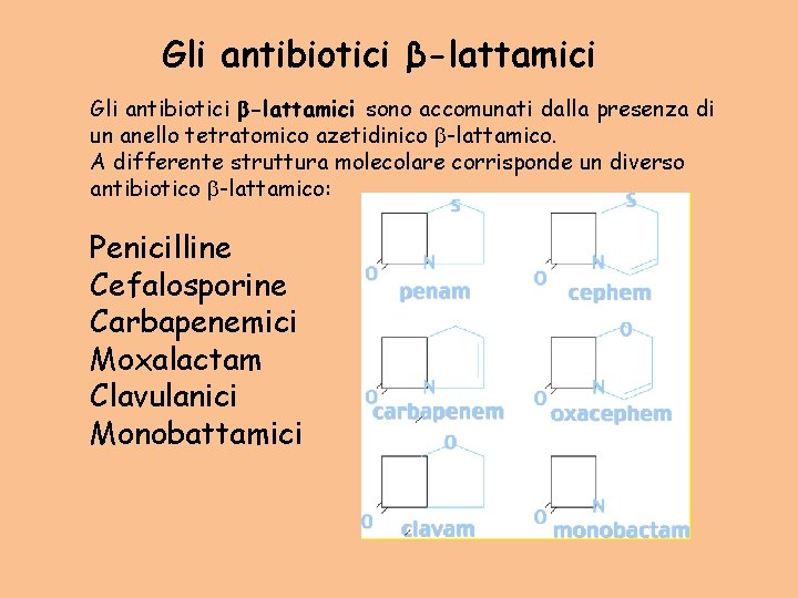 Gli antibiotici β-lattamici Gli antibiotici b-lattamici sono accomunati dalla presenza di un anello tetratomico