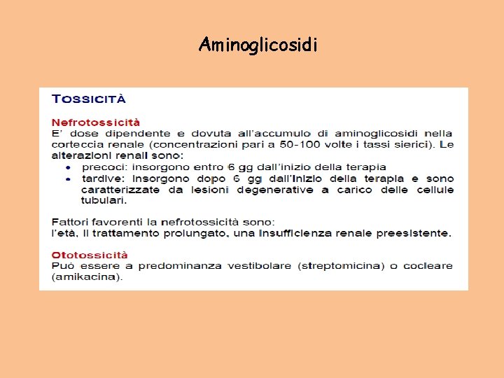 Aminoglicosidi 