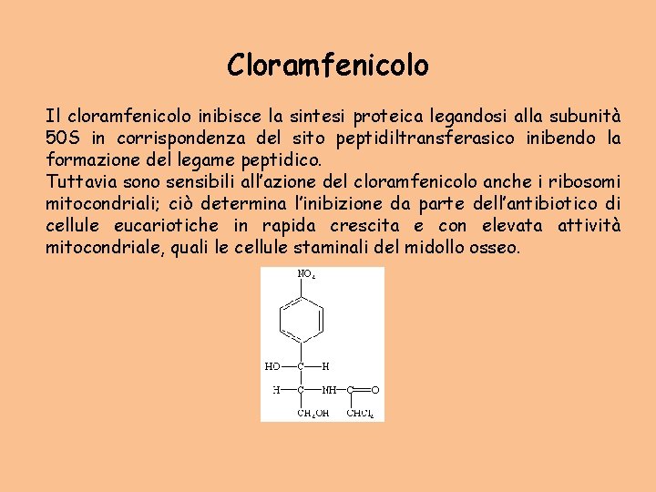 Cloramfenicolo Il cloramfenicolo inibisce la sintesi proteica legandosi alla subunità 50 S in corrispondenza