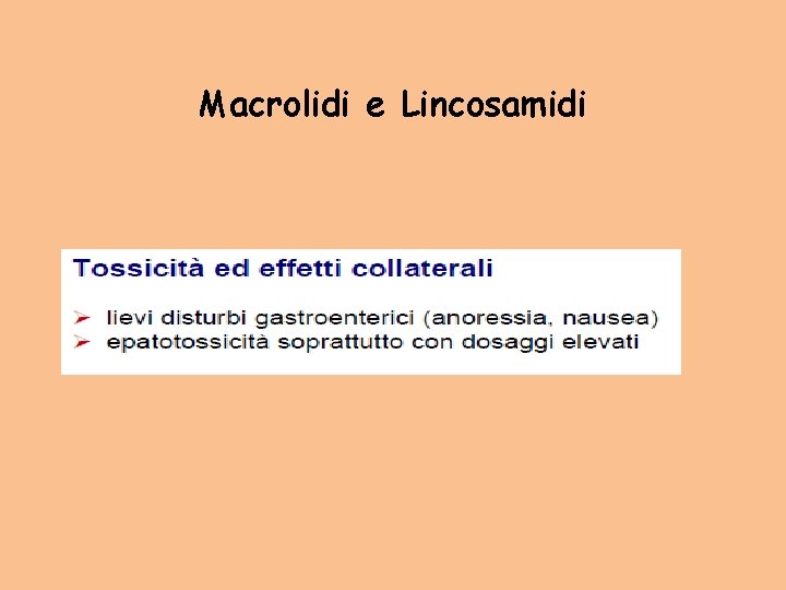 Macrolidi e Lincosamidi 