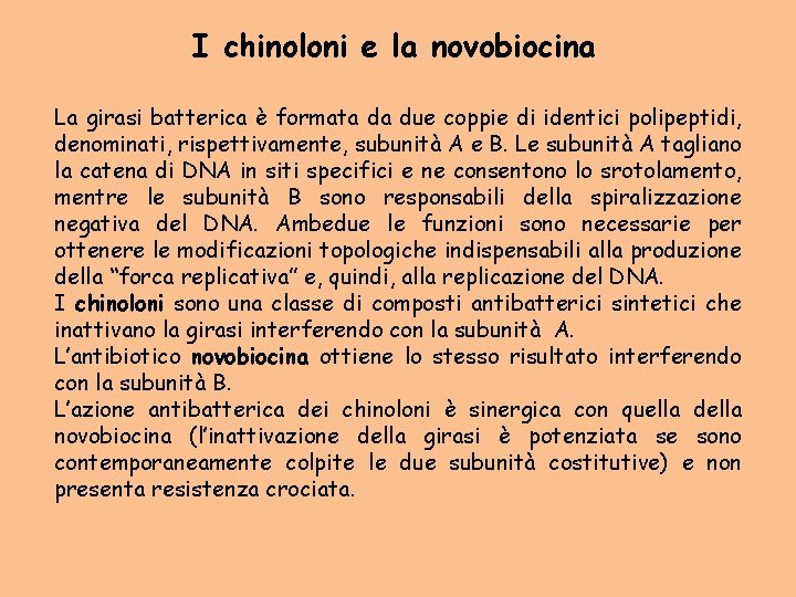 I chinoloni e la novobiocina La girasi batterica è formata da due coppie di