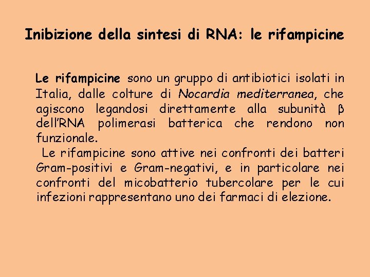 Inibizione della sintesi di RNA: le rifampicine Le rifampicine sono un gruppo di antibiotici