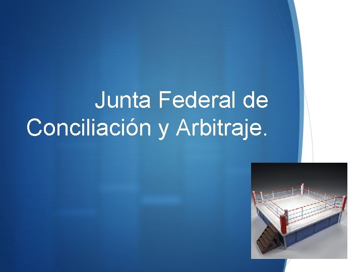 Junta Federal de Conciliación y Arbitraje. S 