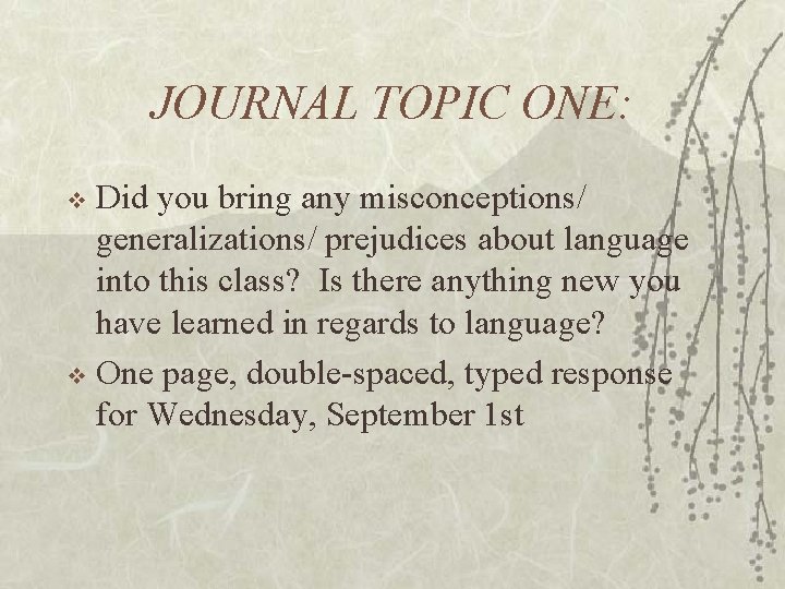JOURNAL TOPIC ONE: Did you bring any misconceptions/ generalizations/ prejudices about language into this