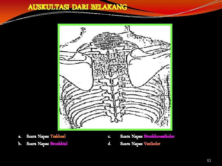 AUSKULTASI DARI BELAKANG a. Suara Napas Trakheal b. Suara Napas Bronkhial c. d. Suara