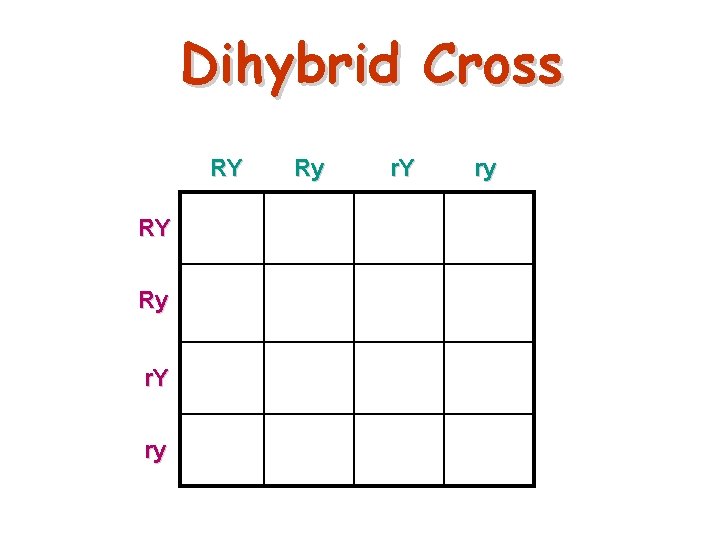 Dihybrid Cross RY Ry r. Y ry 27 