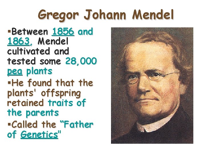Gregor Johann Mendel §Between 1856 and 1863, Mendel cultivated and tested some 28, 000