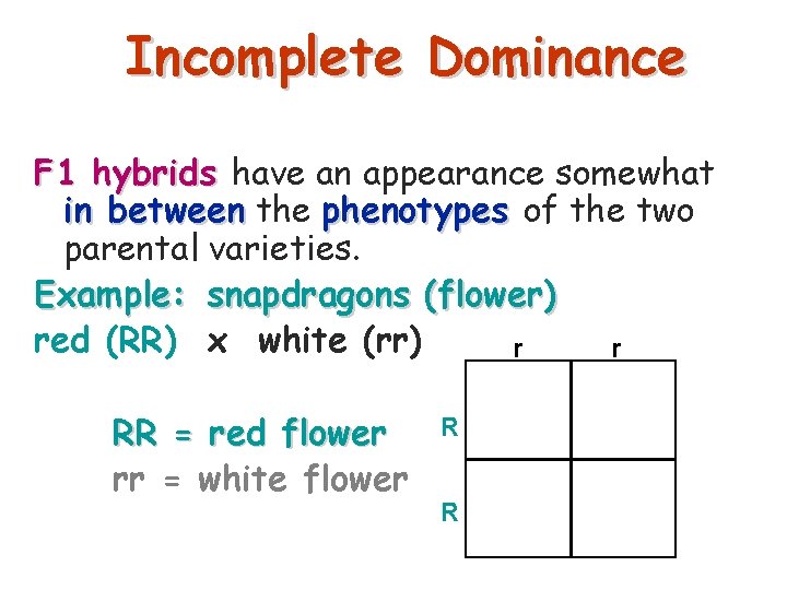Incomplete Dominance F 1 hybrids have an appearance somewhat in between the phenotypes of