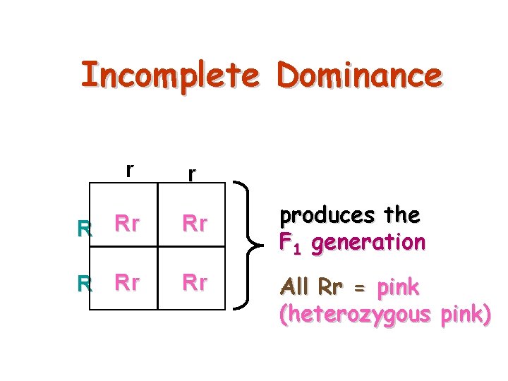 Incomplete Dominance r r R Rr Rr produces the F 1 generation All Rr