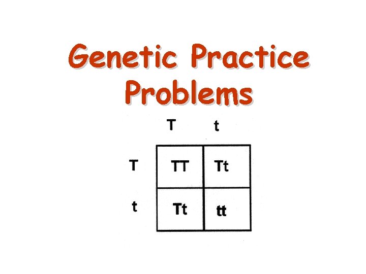 Genetic Practice Problems 33 