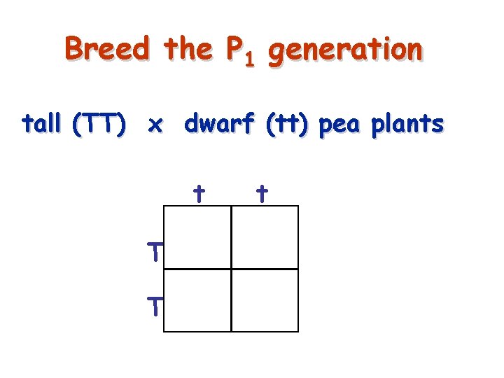 Breed the P 1 generation tall (TT) x dwarf (tt) pea plants t t