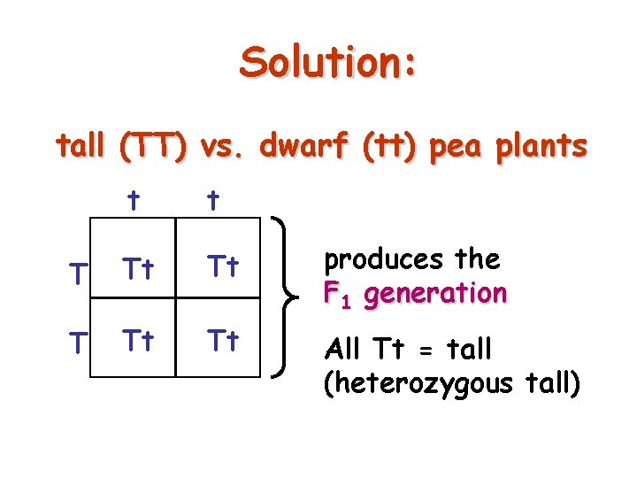 Solution: tall (TT) vs. dwarf (tt) pea plants t t T Tt Tt produces