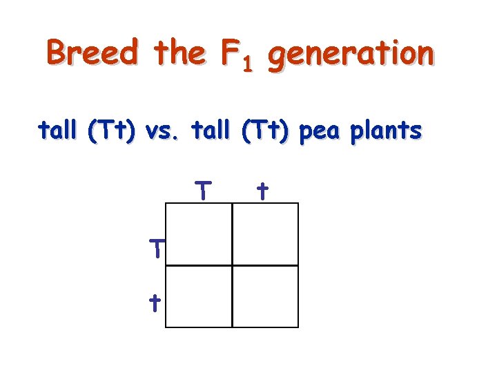 Breed the F 1 generation tall (Tt) vs. tall (Tt) pea plants T t