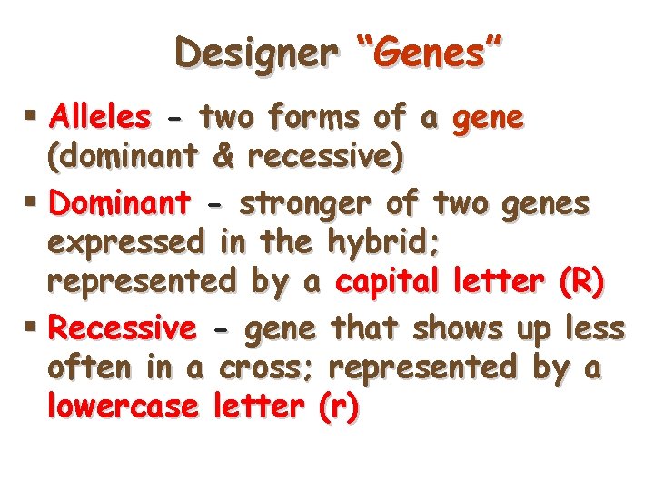 Designer “Genes” § Alleles - two forms of a gene (dominant & recessive) §